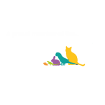 PIF