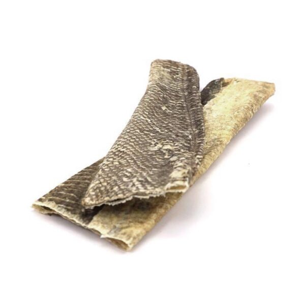 FishSkinFlatties
